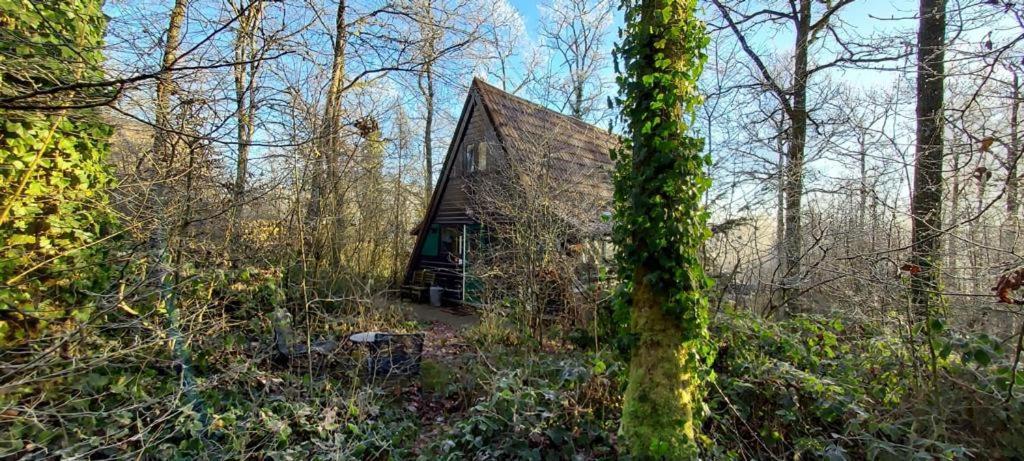 Villa Het Boshuisje In Durbuy Exterior foto