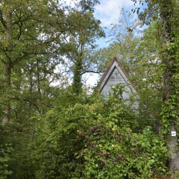 Villa Het Boshuisje In Durbuy Exterior foto